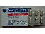 Testosterol 250 - Megabol