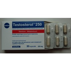 Testosterol 250 - Megabol