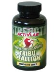 Tribu Stallion - Aktivlab
