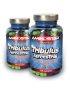 1+1 Zadarmo: Tribulus Terrestris - AMINOSTAR