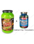Akcia: CreaShock + Tribulus Zadarmo - Aminostar