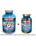 Akcia: EGG Amino 4000 + Tribulus zadarmo