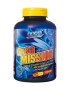 CREA MISSION - FitMax