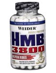 HMB 3800- Weider