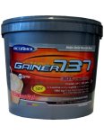 Gainer 737 - Megabol