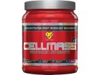 CellMass 2.0 - BSN