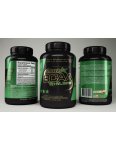 BCAA Ethyl Ester - Stacker 2