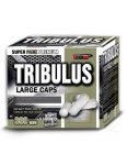 Tribulus - Vision Nutrition