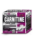 Carnitine - Vision Nutrition