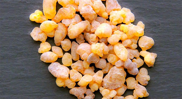Boswellia serrata nebo také Kadidlovník.