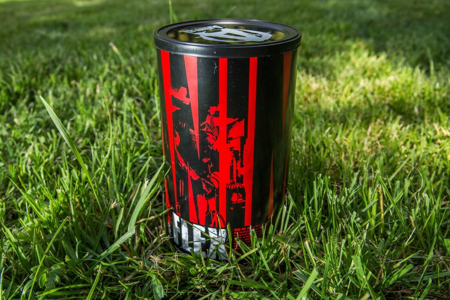 5 najčastejších otázok o užívaní Animal Flex