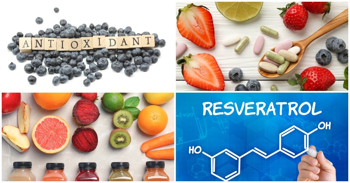 Dôležitosť antioxidantov vo fitness výžive - aké potraviny by si mal konzumovať?