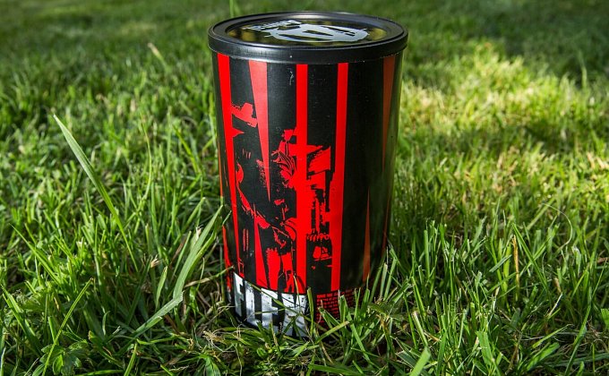 5 najčastejších otázok o užívaní Animal Flex