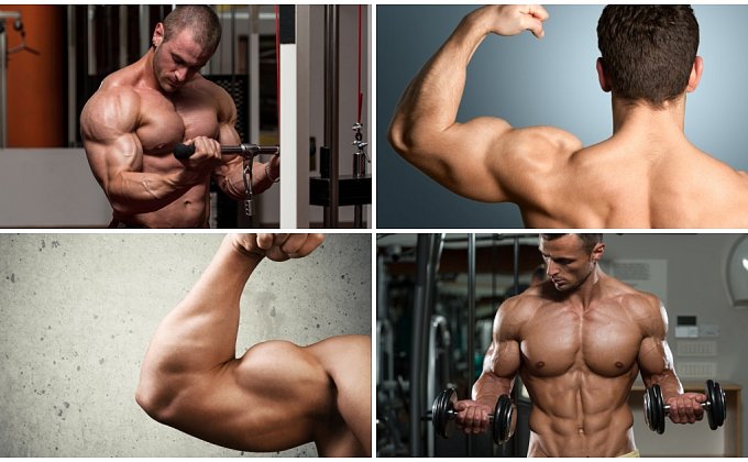 3 najlepšie cviky na biceps