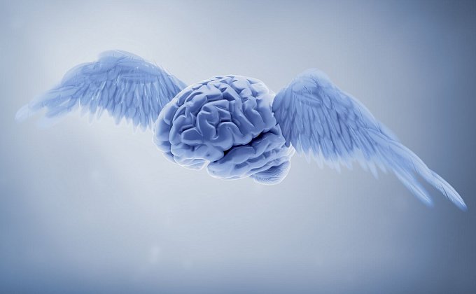 4 najlepšie potraviny pre správne fungovanie mozgu