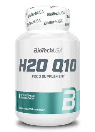H2O Q10