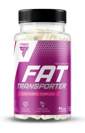 Fat Transporter