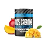 100% Creatine Professional - Protein Nutrition