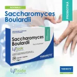 Saccharomyces Boulardii - Yamamoto
