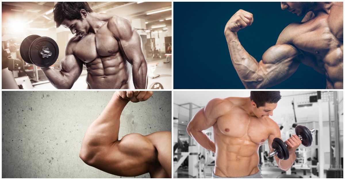 Tajomstvo veľkých bicepsov, najlepšie cviky a tipy ako si vybudovať veľké bicepsy
