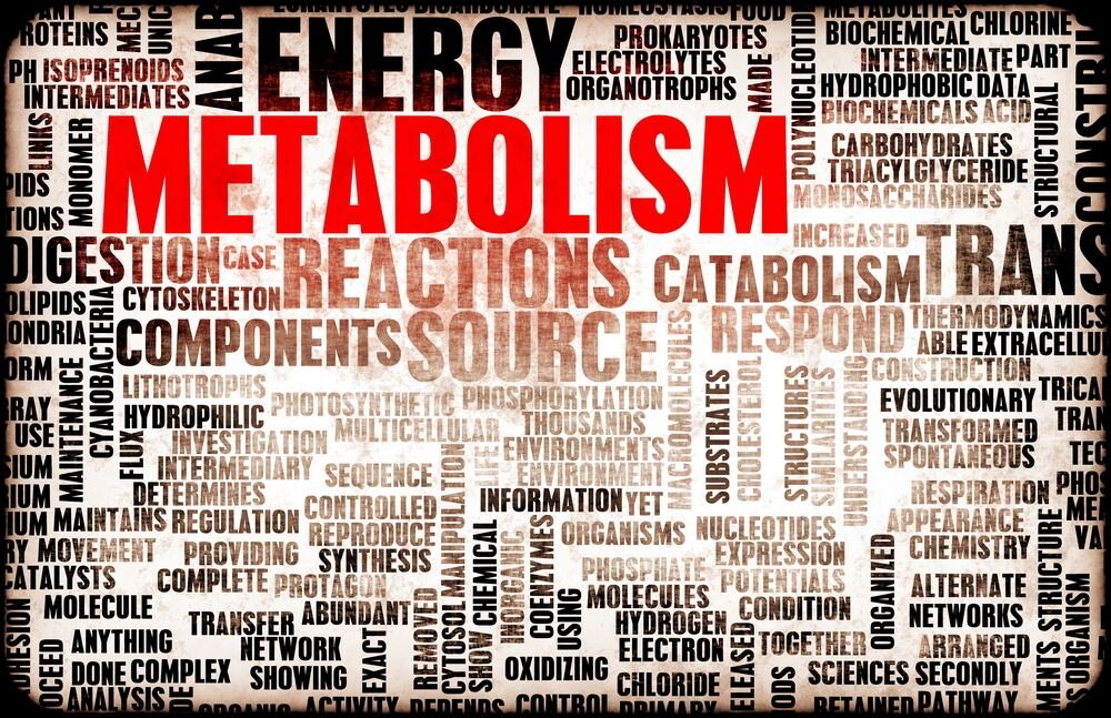 Spaľujte kalórie efektívnejšie. Ako zrýchliť metabolizmus?